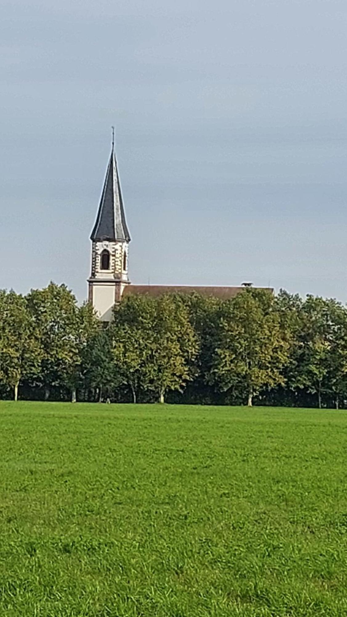 Gite le piémont des Vosges Stotzheim Exterior foto